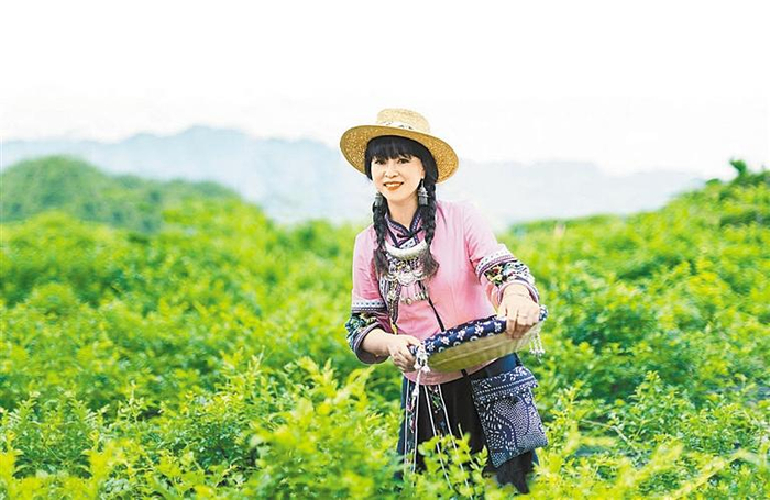     覃玉兰创办莓茶园开发绿色名品。