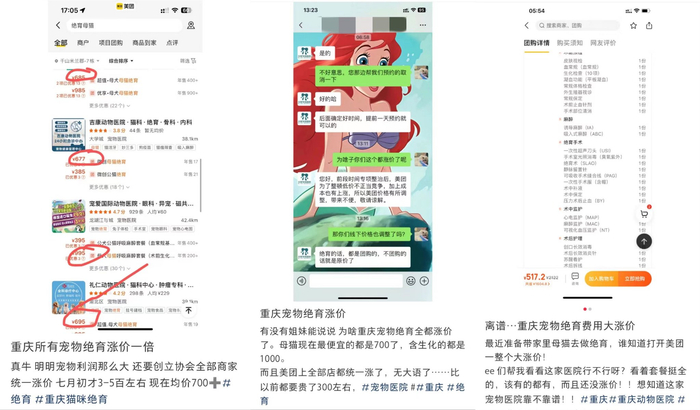 网友讨论绝育手术涨价 截图自小红书