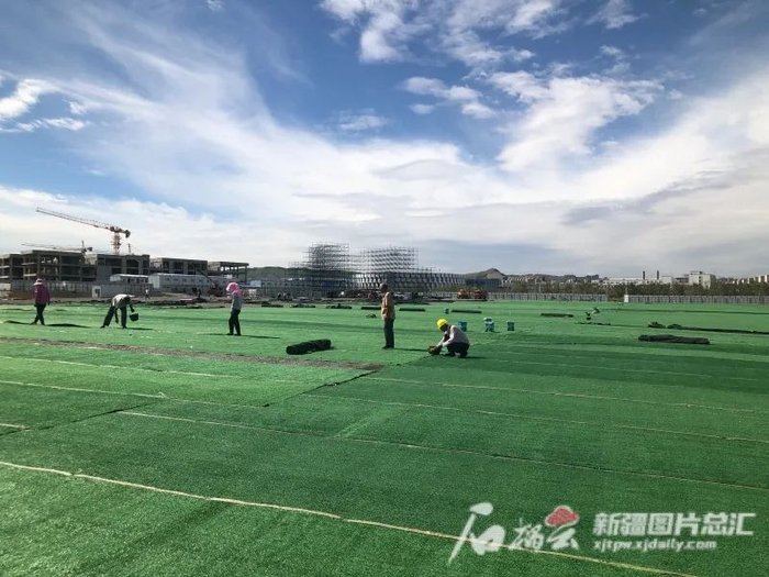 8月13日，2023乌鲁木齐迷笛音乐节现场，工人正在搭建舞台、铺设草坪。石榴云/新疆日报记者索蓉芝摄