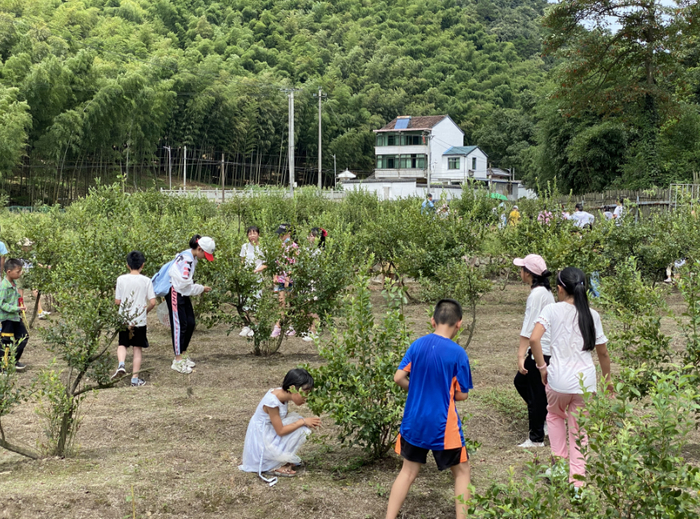 ▲绍兴市越城区青草社会工作服务社组织城里的亲子家庭到越城区富盛镇的多个乡村体验生活。