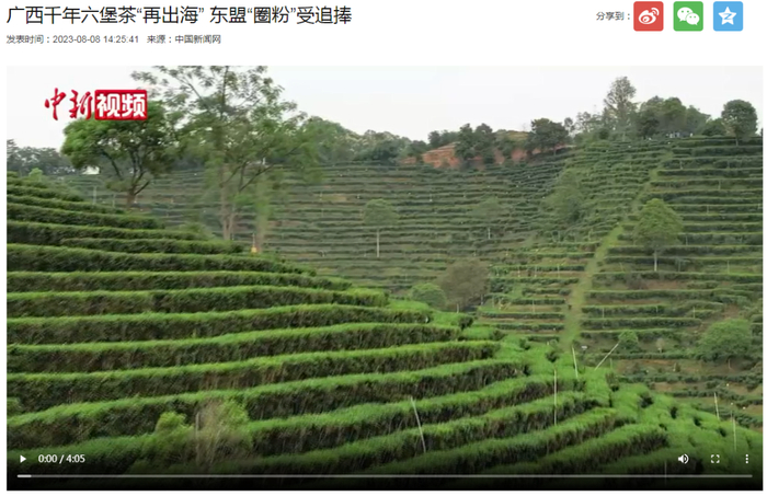 中国新闻网 截图