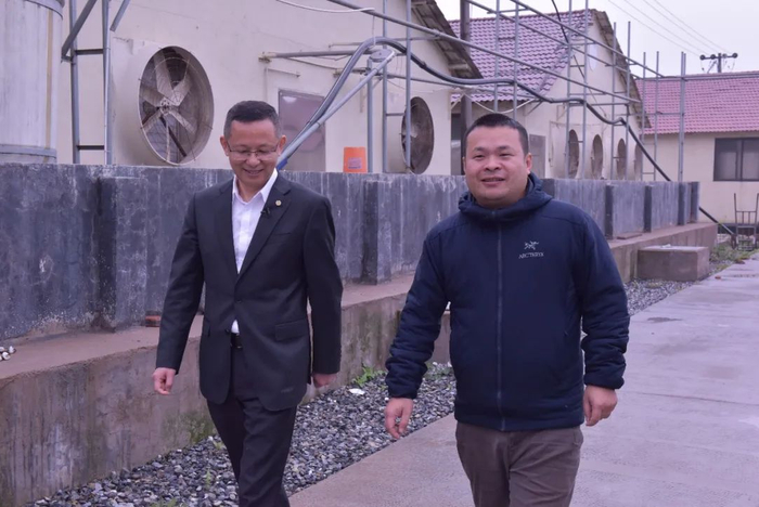 浙商银行衢州分行金融顾问走访当地生猪养殖户