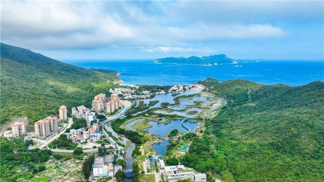 东涌红树林湿地园。