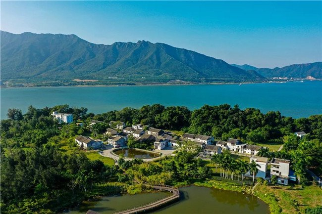 坝光银叶树湿地园。