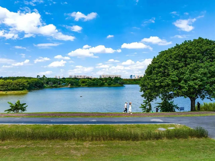 金沙岛。宋兹檀/摄