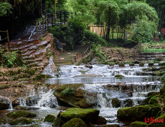 ▲川西竹海景区 资料图
