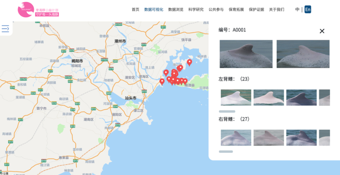 ▲ iDolphin 网站截屏。图片来源：iDolphin