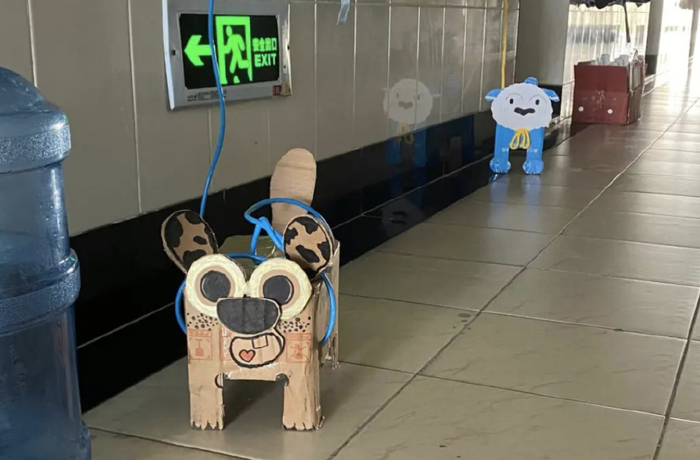 图/校园中的纸盒狗