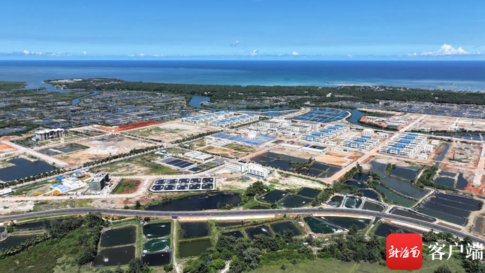 　　冯家湾现代化渔业产业园。记者 郑光平 摄