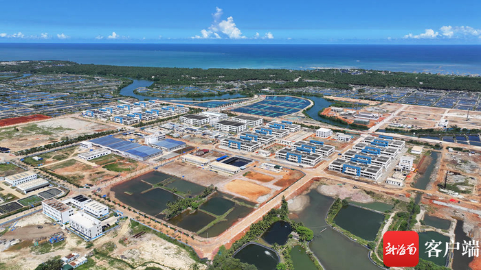 　　俯瞰冯家湾现代化渔业产业园。记者 郑光平 摄