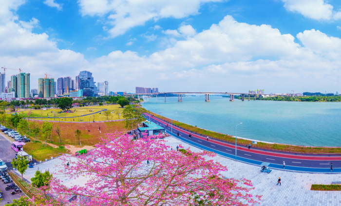 △西江碧道。彭伟宗 摄