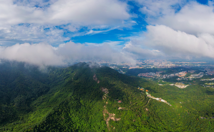 △生活在江门，享受与青山绿水为邻的惬意。彭伟宗 摄
