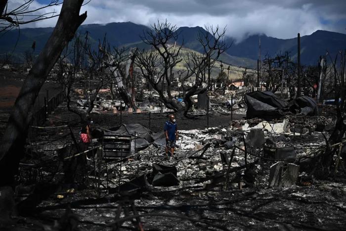 8月11日，美国夏威夷州毛伊岛拉海纳，大火过后，豪洛（中）和家人返回到自家的房屋灰烬中寻找财物。图/视觉中国
