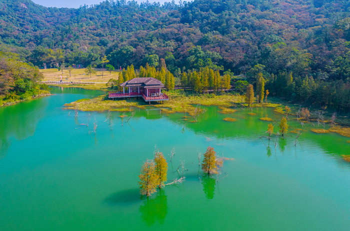 △新会石涧公园。江门日报记者 刘淑君 摄