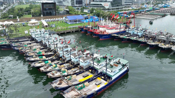 启动仪式主会场。吴东俊 摄