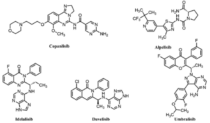 图3.获批上市的PI3K抑制剂结构
