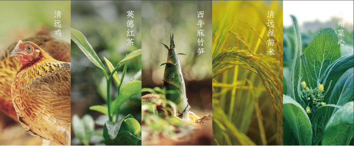 清远力推的五大百亿农业产业包括清远鸡、英德红茶、西牛麻竹笋、清远丝苗米、连州菜心。