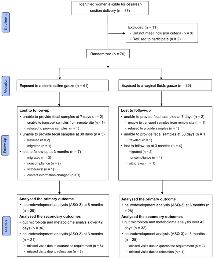 研究流程示意图