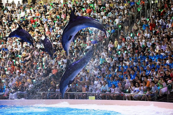 长隆海洋王国。 图/程霖 