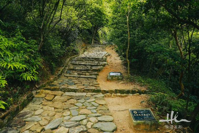 长南迳古道。图/陈佳哲