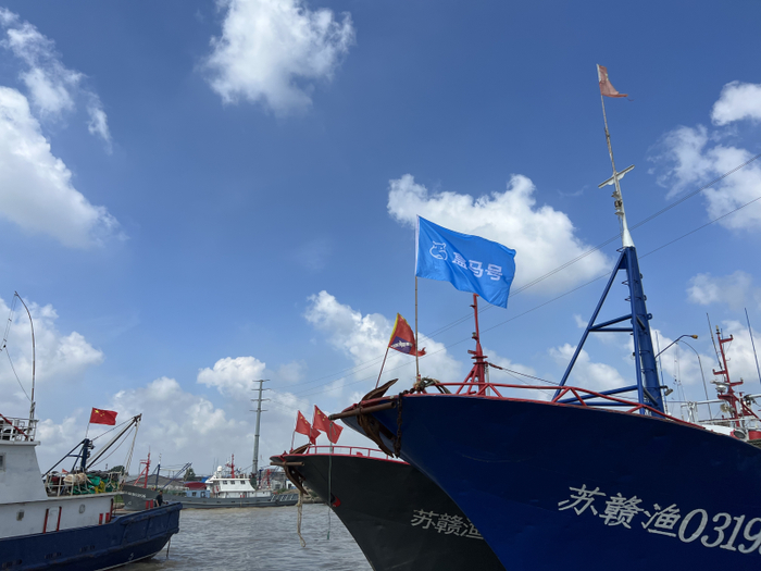 “盒马号”出海。（图片由受访企业提供）