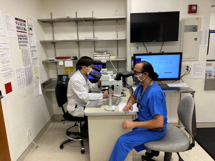 圣路易斯华大冰冻病理室，曹登峰教授在冰冻带教病理医生