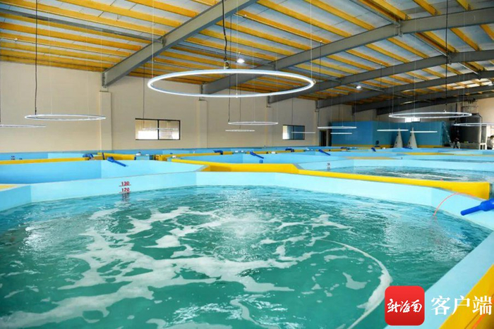 资料图：冯家湾现代化渔业产业园里的养殖场。