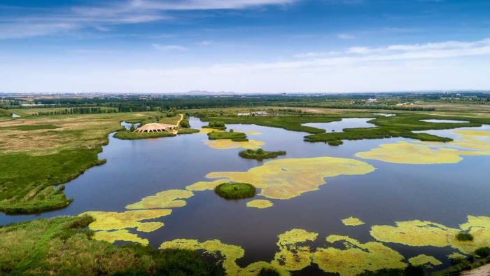 ↑姜山湿地全景。　（魏康　摄）
