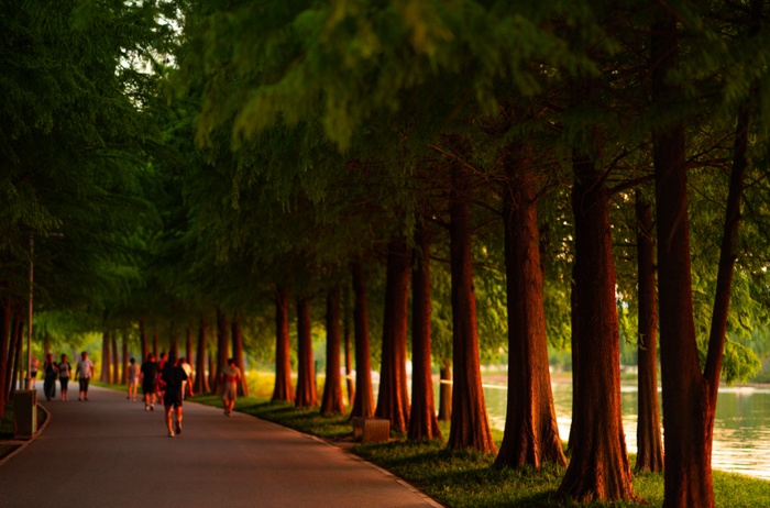 石湖 摄影：王康