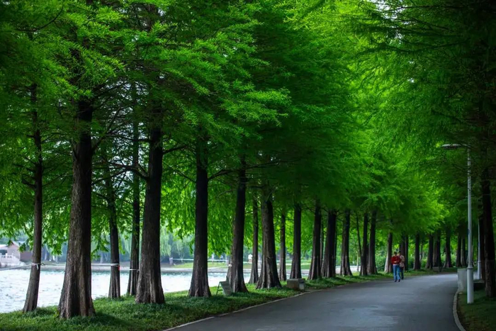 石湖 摄影：冷一文