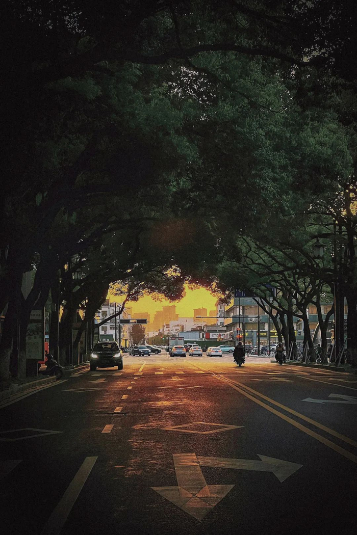 竹辉路 摄影：陈杰