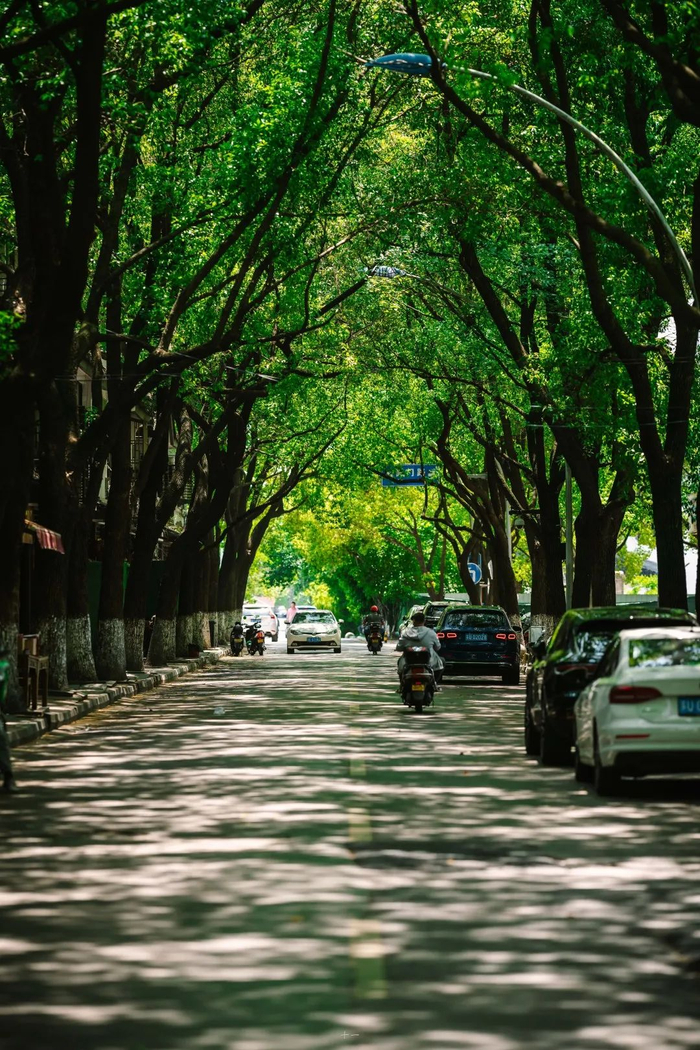学士街 摄影：宋十一