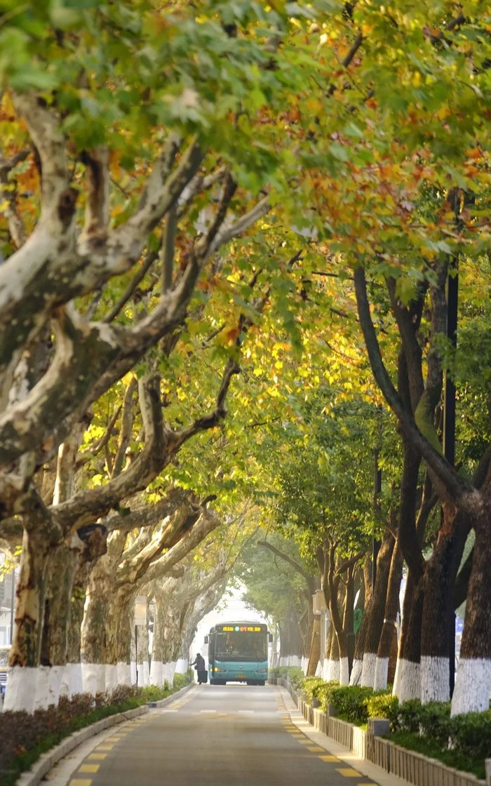 人民路 摄影：丁嘉一