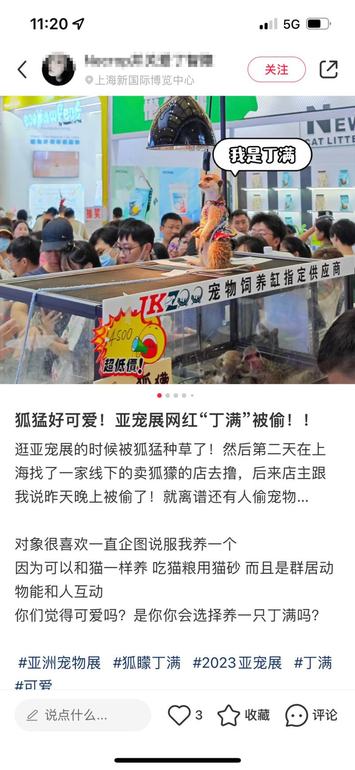截屏图
