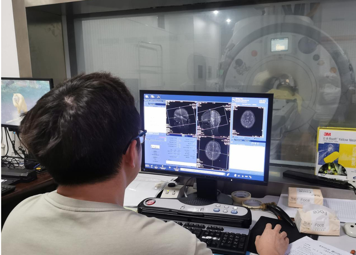 ▲段旭君博士团队为小正进行大脑扫描，检查发育情况