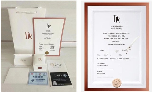 图片来源：截图自DR官网