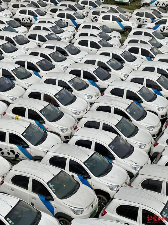 资料图 摄影记者 刘海韵