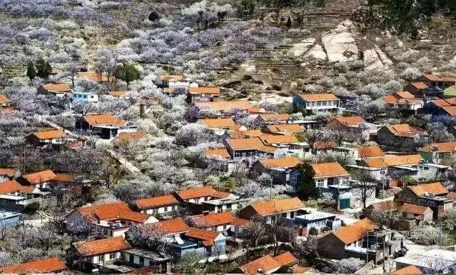 美丽的山色峪社区。