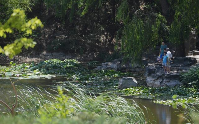 香山公园，游客在山间水边小憩。新京报记者 李木易 摄