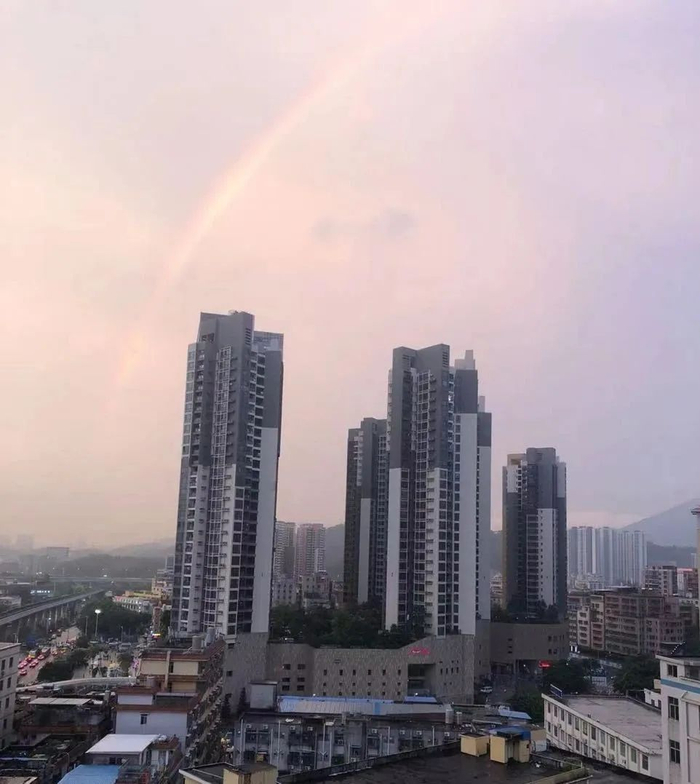 △8月25日下午拍摄于龙岗区丹竹头（微博粉丝投稿）