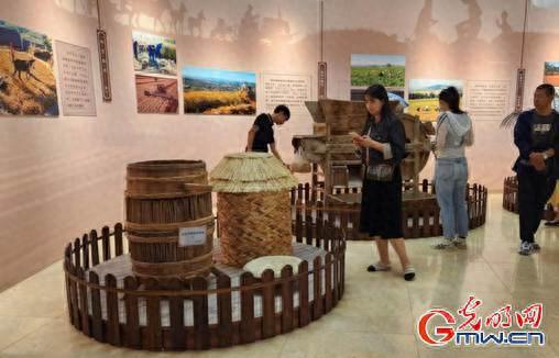 博物馆内展示的旱作农业工具。王蕾摄
