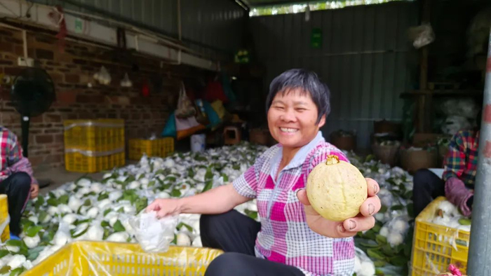 △ 以上2图来源 高要发布