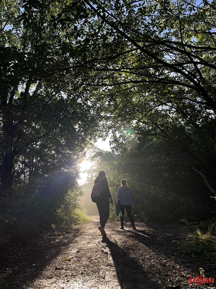 ▲青龙湖湿地公园里组队的“捡菌人”