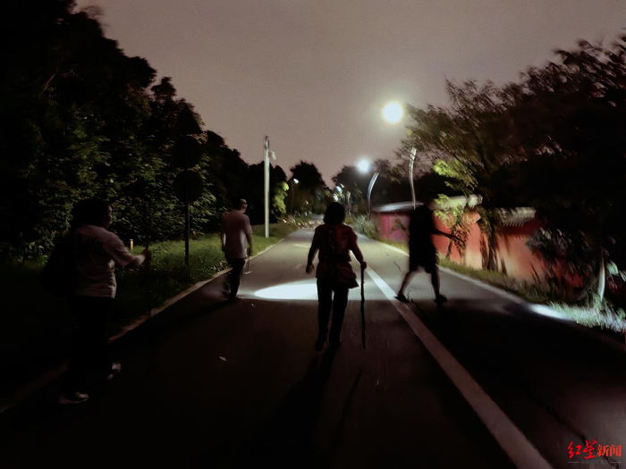 ▲凌晨的“捡菌人”