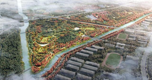 南汇新城绿环森林漫游节点效果图