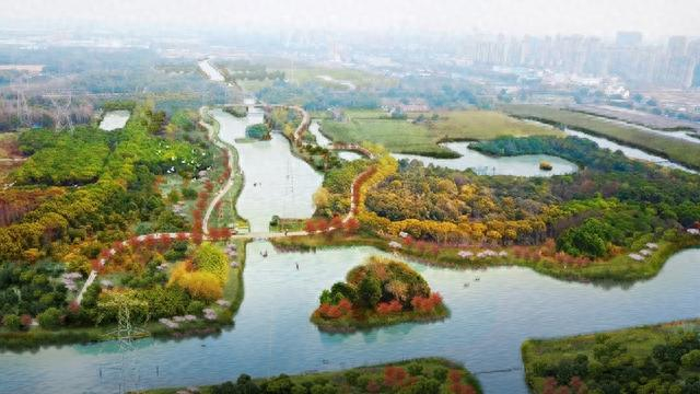 嘉定新城绿环创客森林节点效果图