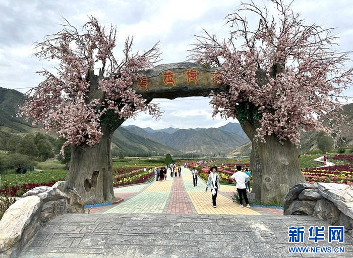 图为卡加曼乡“一带三区”规划中休闲娱乐区内的香拉花海。新华网杨可摄