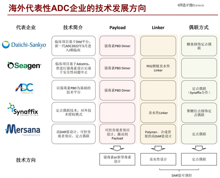 资料来源：各公司官网、国家知识产权局、招商证券