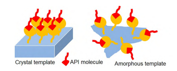 图2.模板剂诱导成核