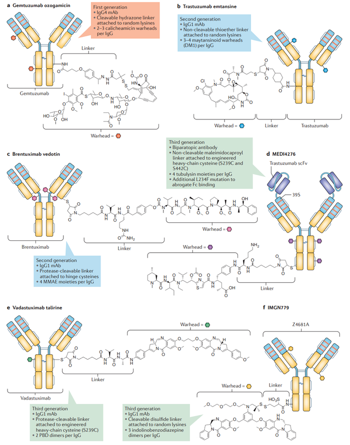 图1.第一代、第二代和第三代ADC的结构